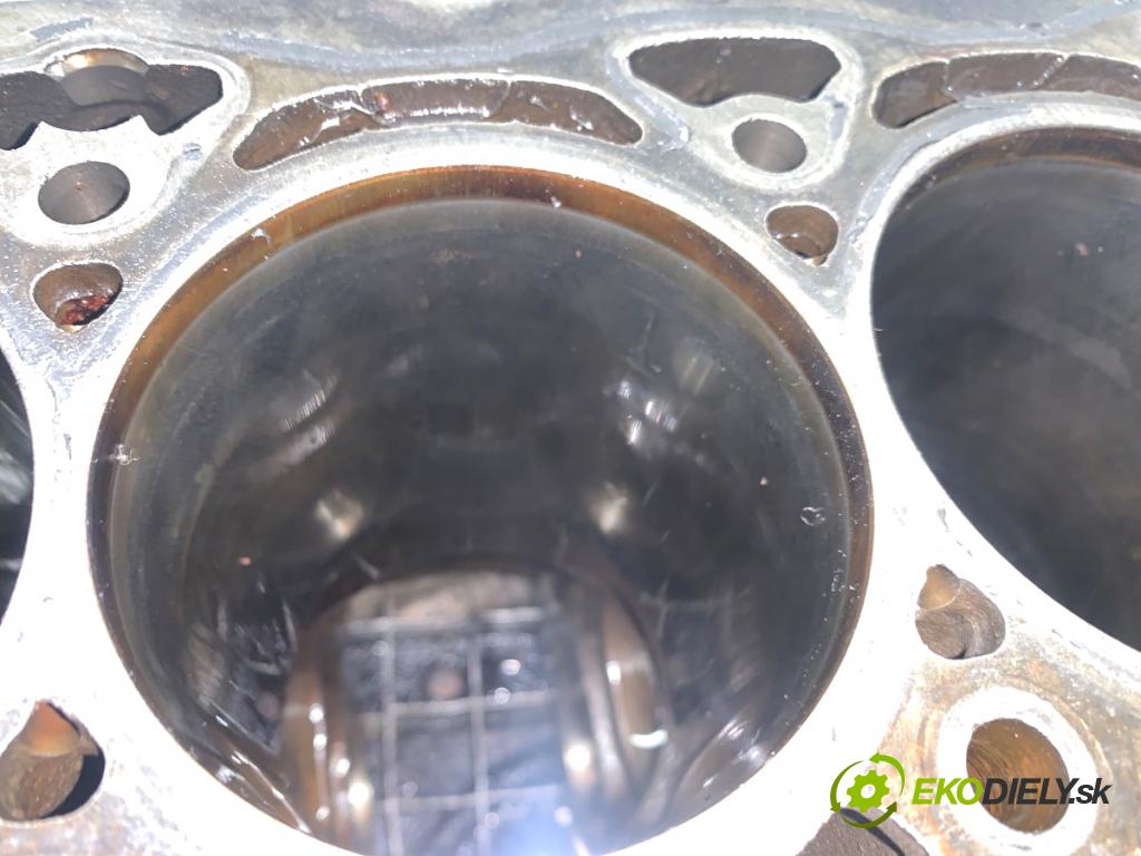 VW TIGUAN SUV 2009 125 kW 2.0 TFSI 4motion 1984 blok Motor CAW (Blok motora)