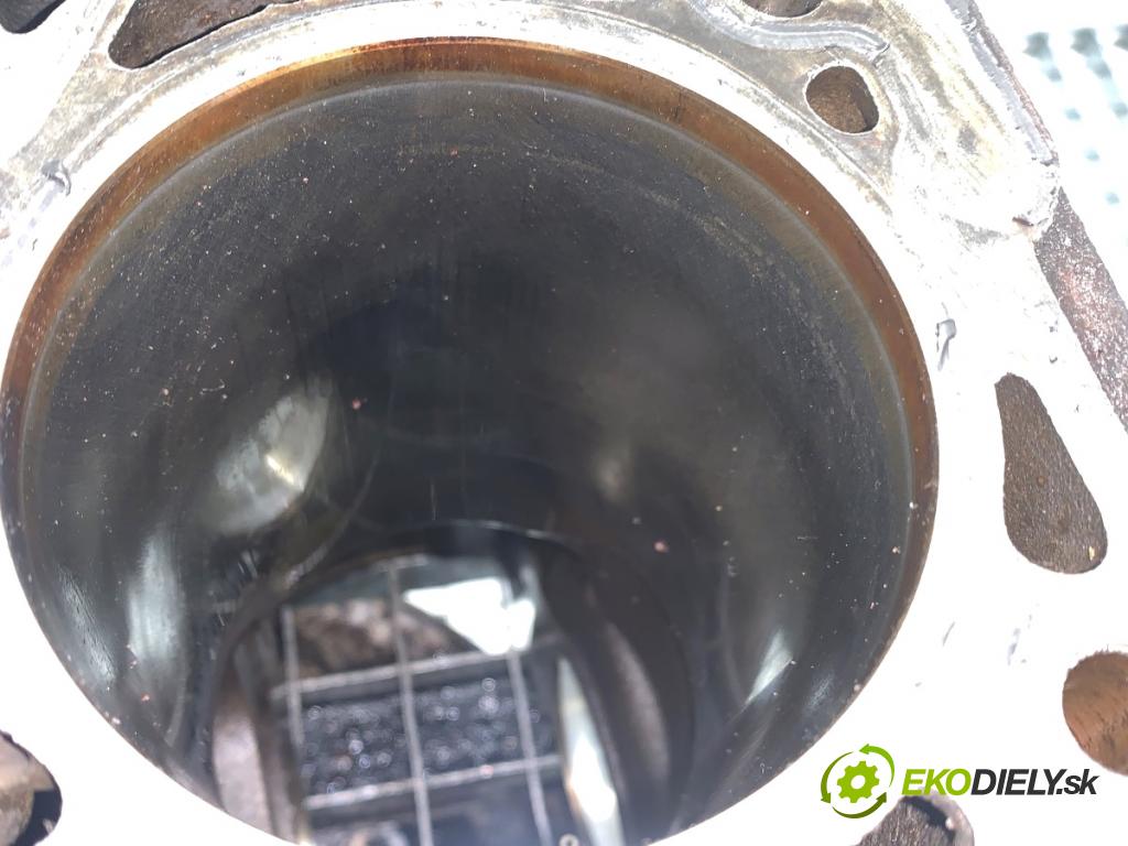 VW TIGUAN SUV 2009 125 kW 2.0 TFSI 4motion 1984 blok Motor CAW (Blok motora)