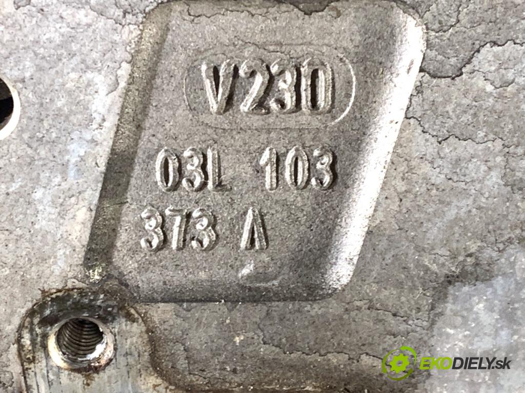 VW CADDY III Nadwozie pełne/minivan 2010 75 kW 1.6 TDI 1598 Motor CAY CAYD (Motor)