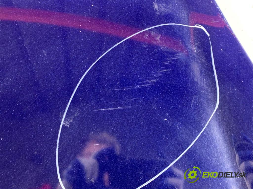 FIAT BRAVO II liftback 2009 88 kW 1.4 T-Jet (198AXG1B) 1368 kapota  (Kapota)