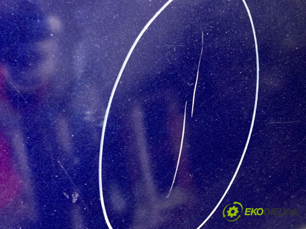 FIAT BRAVO II liftback 2009 88 kW 1.4 T-Jet (198AXG1B) 1368 kapota  (Kapota)