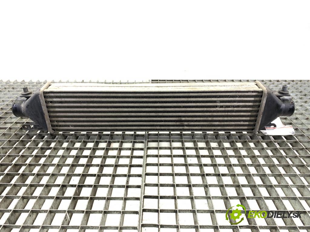 FIAT BRAVO II liftback 2009 88 kW 1.4 T-Jet (198AXG1B) 1368 intercooler  (Intercooler (chladič stlačeného vzduchu))