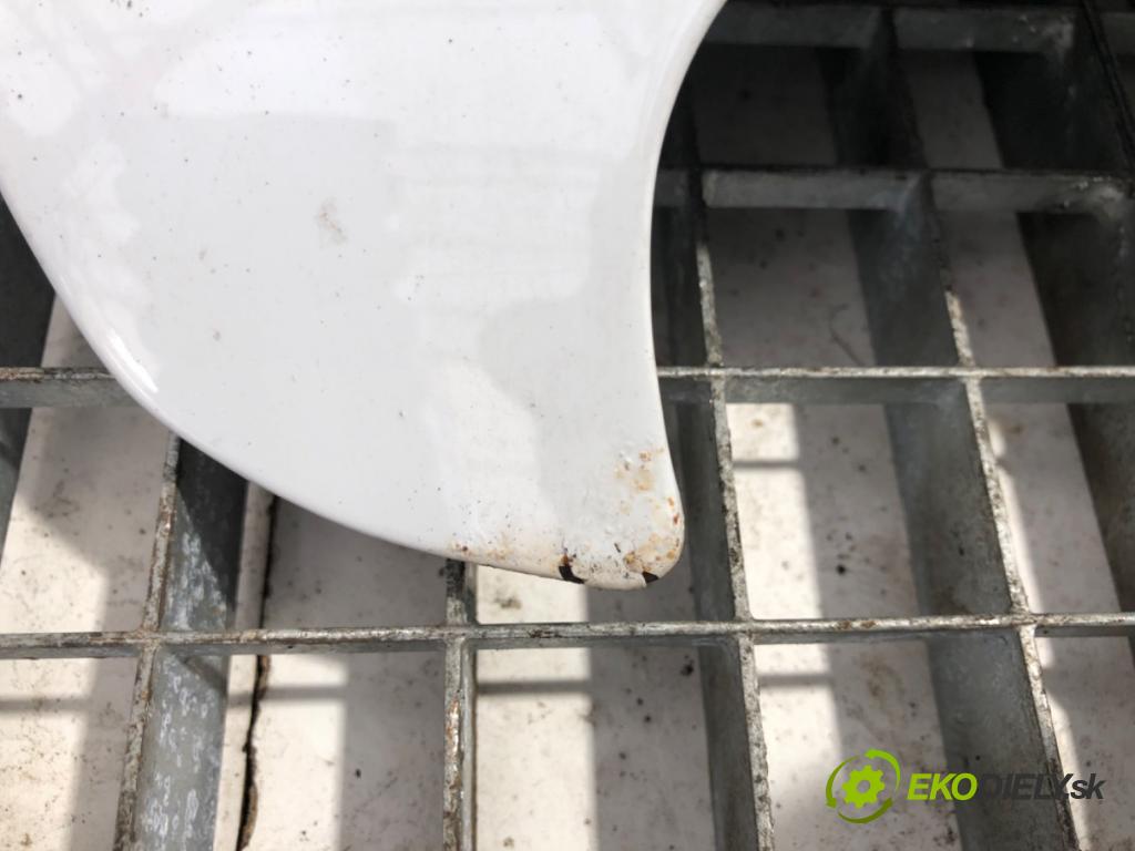 OPEL MOVANO B Platforma / podwozie 2019 96 kW 2.3 CDTI FWD (EV, HV, UV) 2298 kapota  (Kapota)