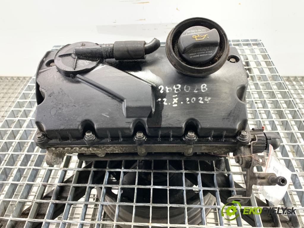 VW GOLF V liftback 2003 77 kW 1.9 TDI 1896 Hlava valcov BKC (Hlava valcov)