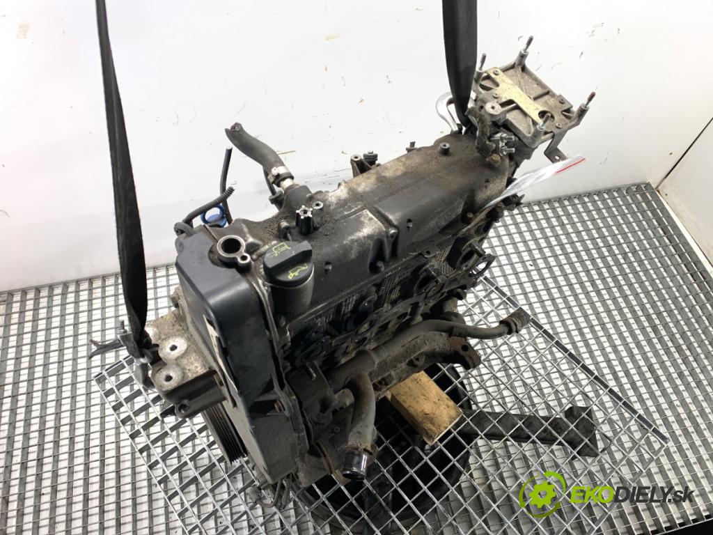 FIAT GRANDE PUNTO liftback 2008 57 kW 1.4 (199AXB11, 199AXB1A, 199BXB1A, 199AXL1A) 1368 Motor 350A1000 (Motor)