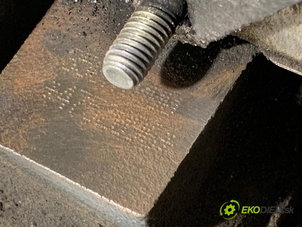 FIAT GRANDE PUNTO liftback 2008 57 kW 1.4 (199AXB11, 199AXB1A, 199BXB1A, 199AXL1A) 1368 Motor 350A1000 (Motor)