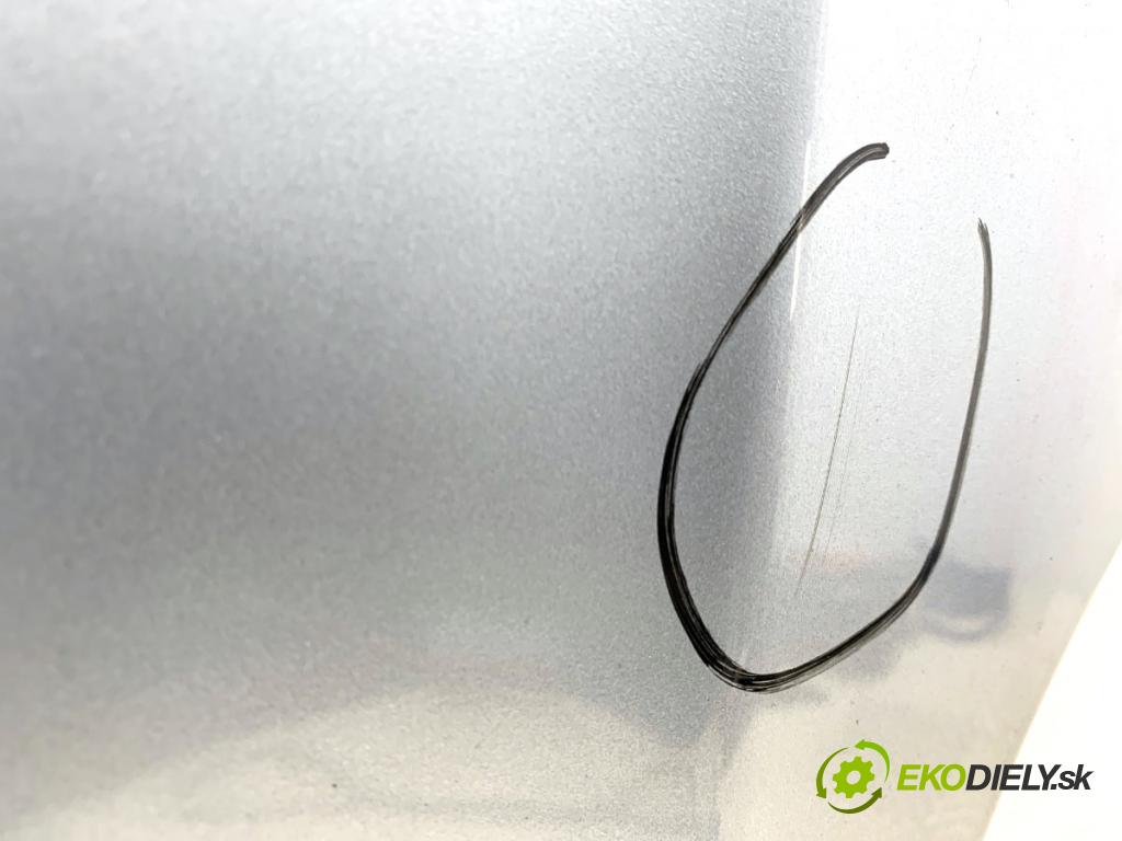 FIAT GRANDE PUNTO liftback 2008 57 kW 1.4 (199AXB11, 199AXB1A, 199BXB1A, 199AXL1A) 1368 kapota  (Kapota)