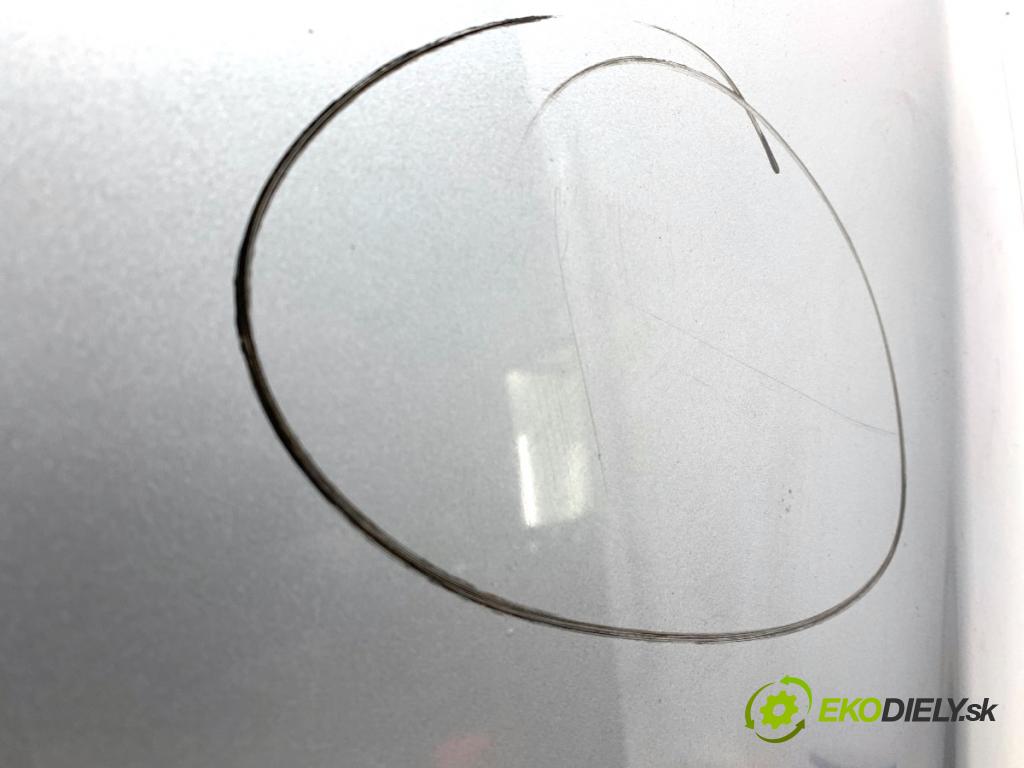 FIAT GRANDE PUNTO liftback 2008 57 kW 1.4 (199AXB11, 199AXB1A, 199BXB1A, 199AXL1A) 1368 kapota  (Kapota)