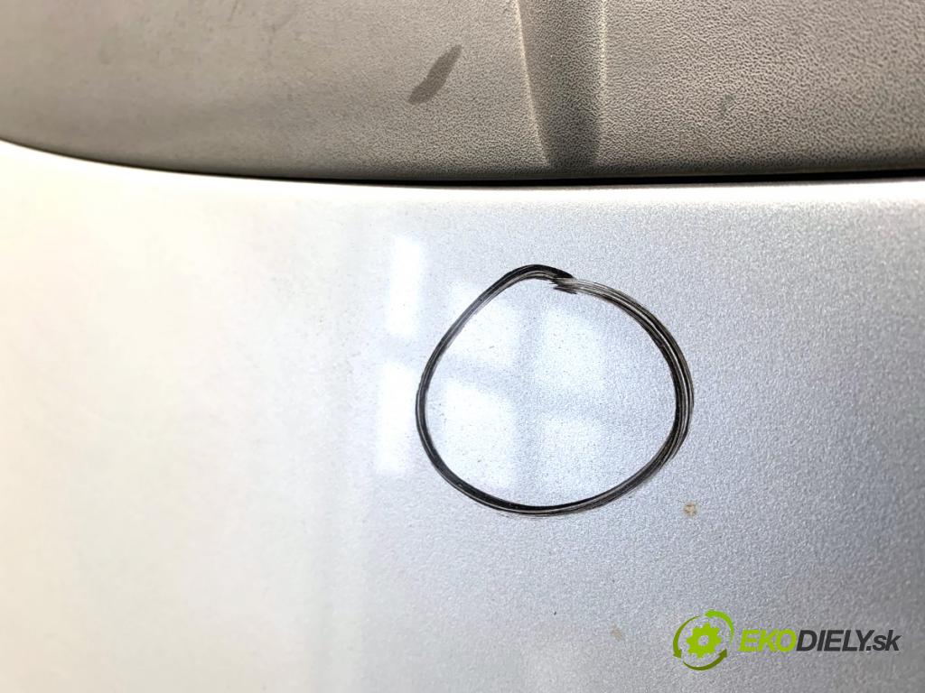 FIAT GRANDE PUNTO liftback 2008 57 kW 1.4 (199AXB11, 199AXB1A, 199BXB1A, 199AXL1A) 1368 kapota  (Kapota)