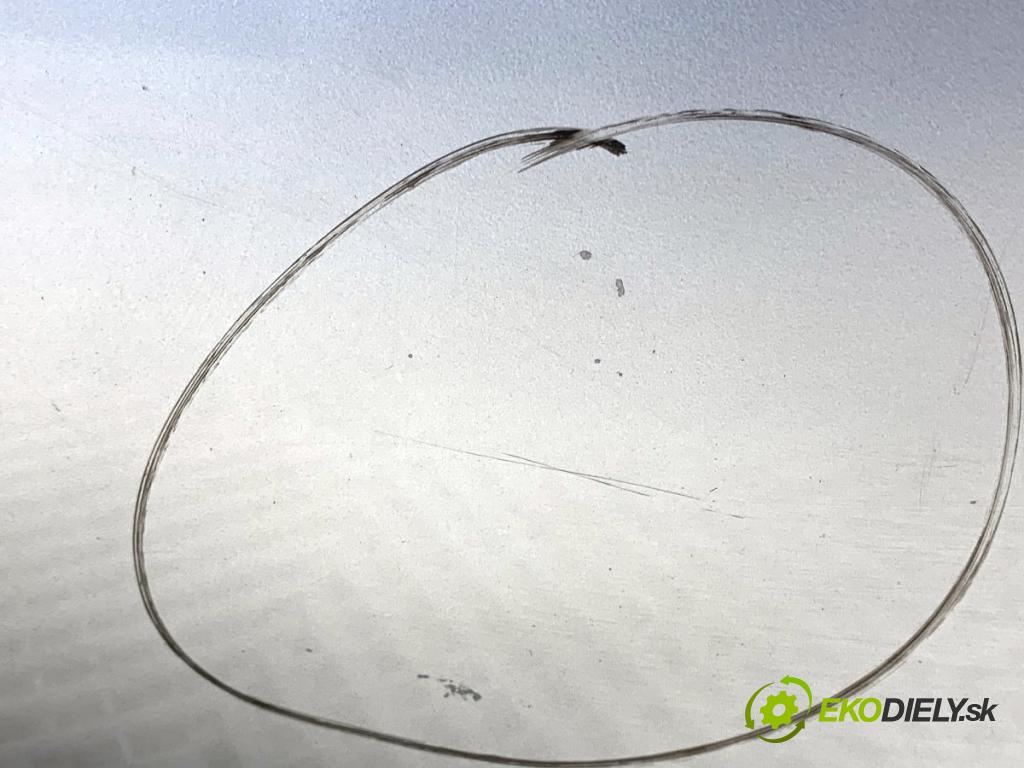 FIAT GRANDE PUNTO liftback 2008 57 kW 1.4 (199AXB11, 199AXB1A, 199BXB1A, 199AXL1A) 1368 kapota  (Kapota)