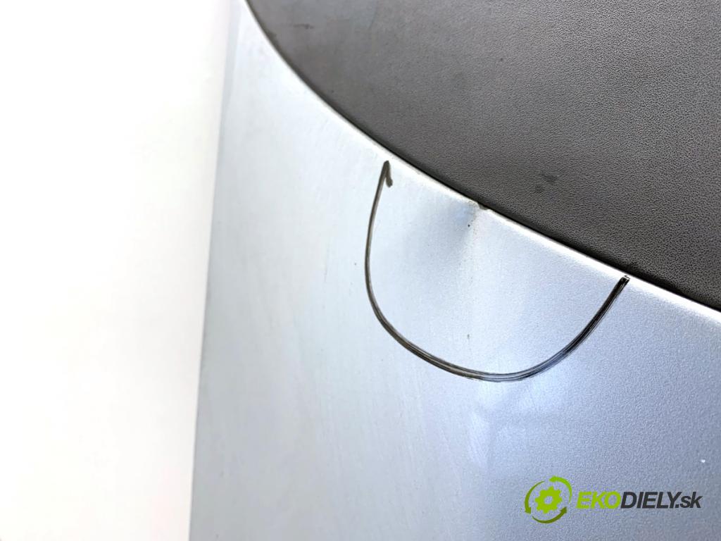 FIAT GRANDE PUNTO liftback 2008 57 kW 1.4 (199AXB11, 199AXB1A, 199BXB1A, 199AXL1A) 1368 kapota  (Kapota)