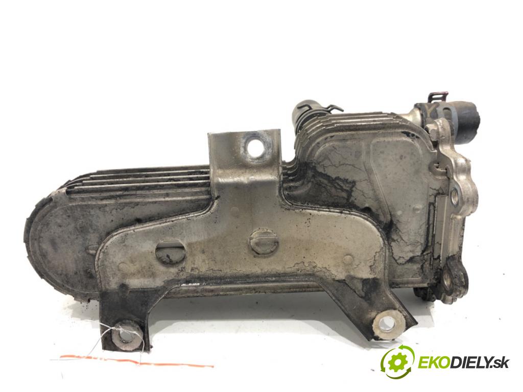 VW GOLF V liftback 2003 77 kW 1.9 TDI 1896 Chladič EGR 038131513D