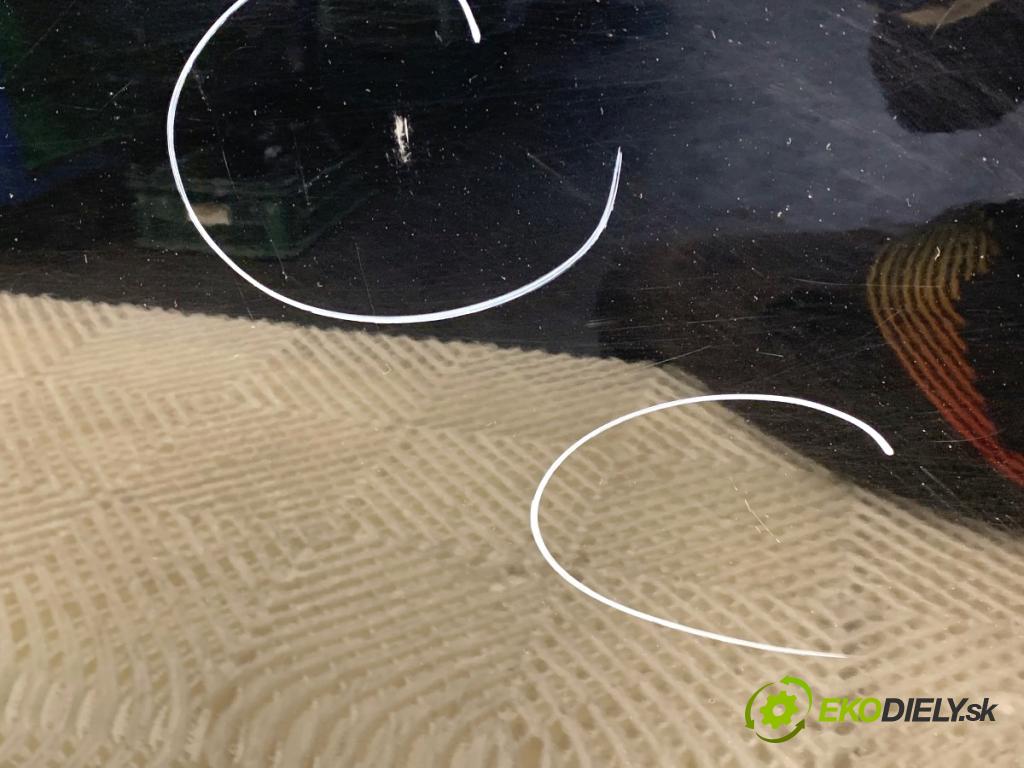 RENAULT GRAND SCENIC III nadwozie wielkoprzestrzenne (MPV) 2011 96 kW 1.4 16V (JZ0F) 1397 dveře pravý zadní část TEGNE