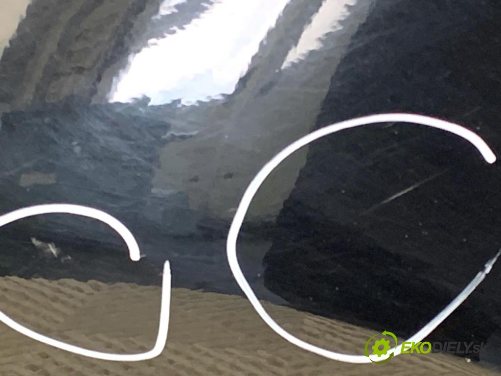 RENAULT GRAND SCENIC III nadwozie wielkoprzestrzenne (MPV) 2011 96 kW 1.4 16V (JZ0F) 1397 blatník levý přední část TEGNE