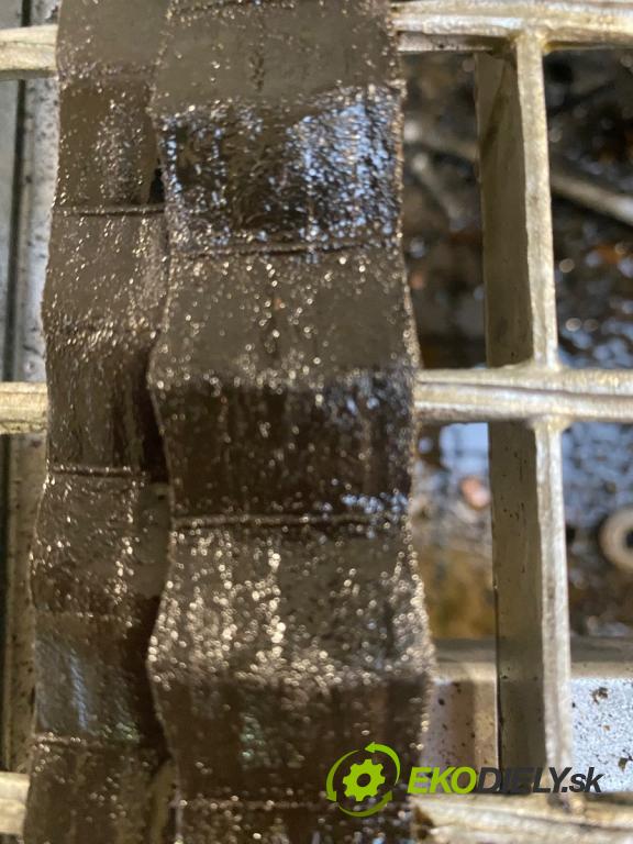 RENAULT GRAND SCENIC III nadwozie wielkoprzestrzenne (MPV) 2011 96 kW 1.4 16V (JZ0F) 1397 Motor H4JA700 (Motor)