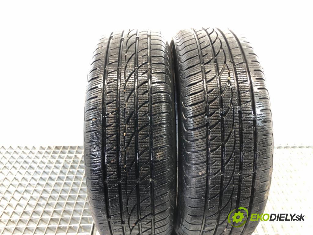 --- ---      PNEUMATIKY: zima 2X 195/65 15