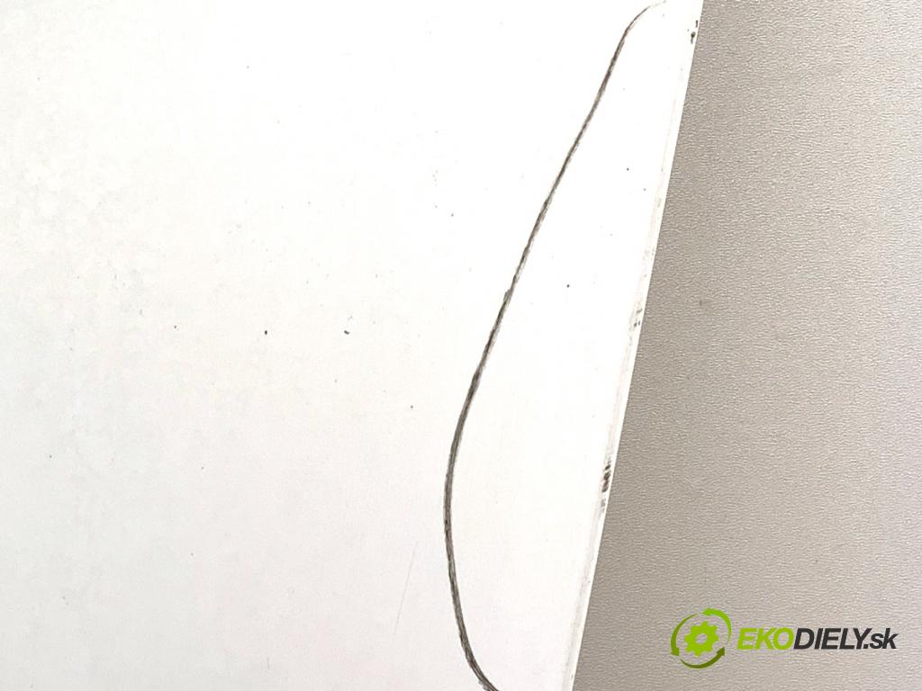 PORSCHE PANAMERA liftback 2010 294 kW 4.8 4S 4806 kapota  (Kapota)