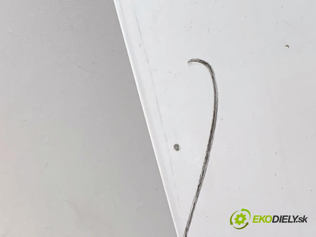 PORSCHE PANAMERA liftback 2010 294 kW 4.8 4S 4806 kapota  (Kapota)