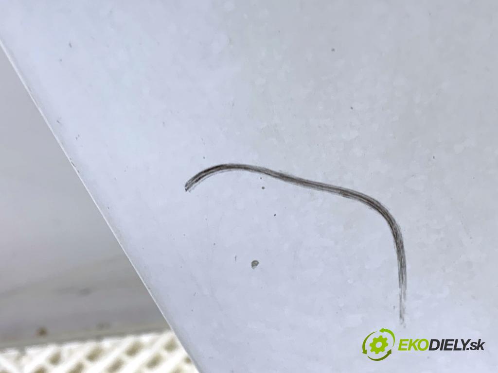 PORSCHE PANAMERA liftback 2010 294 kW 4.8 4S 4806 kapota  (Kapota)