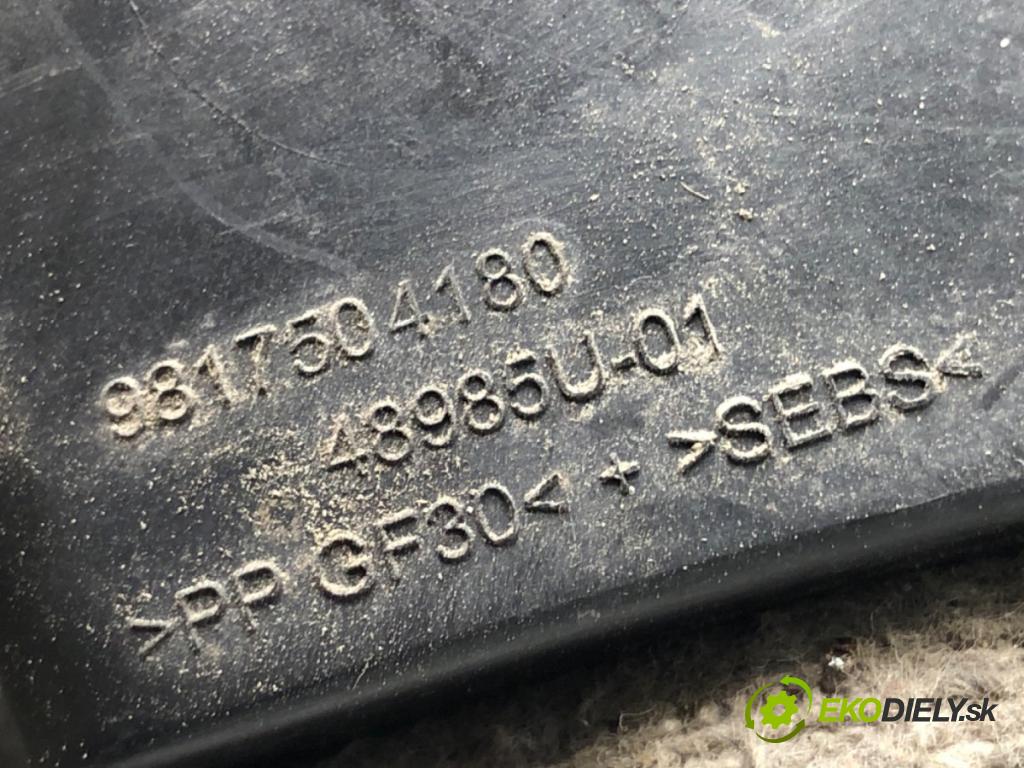 PEUGEOT 308 II liftback 2020 96 kW 1.2 THP 130 1199 Dvierka nádrže paliva 9817504180 (Kľučka dverí ostatné)