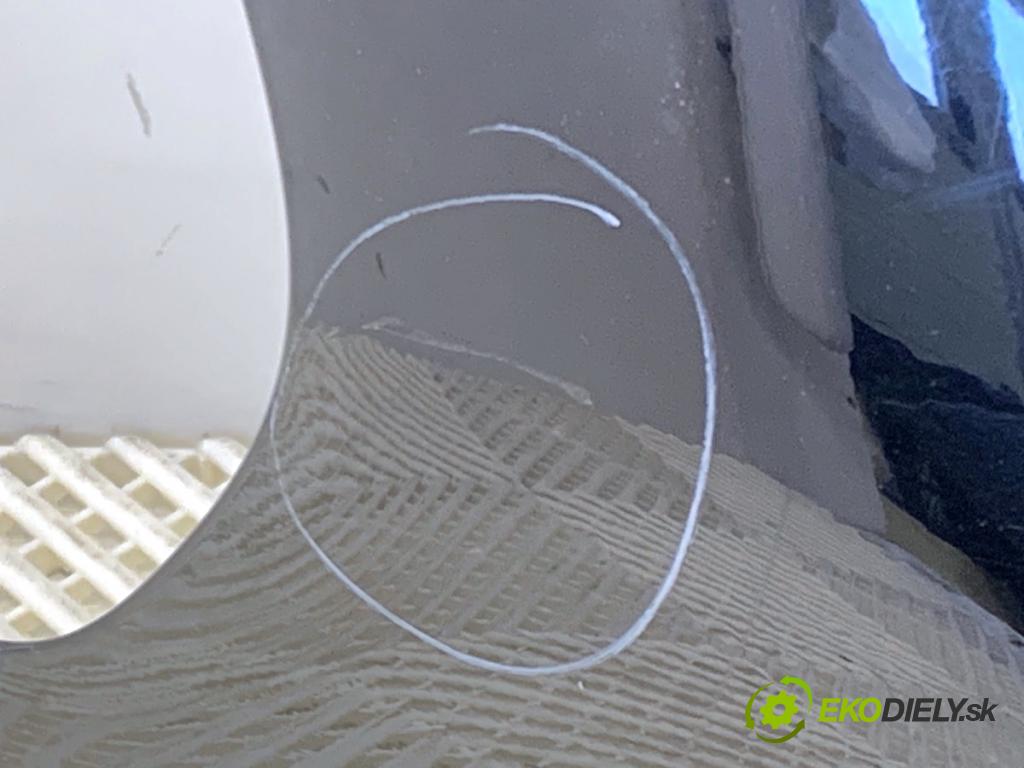 NISSAN JUKE F15 SUV 2017 86 kW 1.6 1598 kapota zad Z11