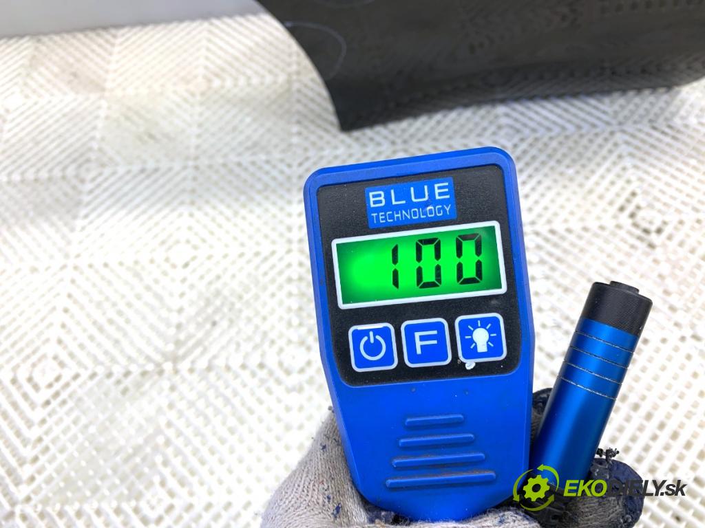 NISSAN JUKE F15 SUV 2017 86 kW 1.6 1598 Dvere pravy zad Z11