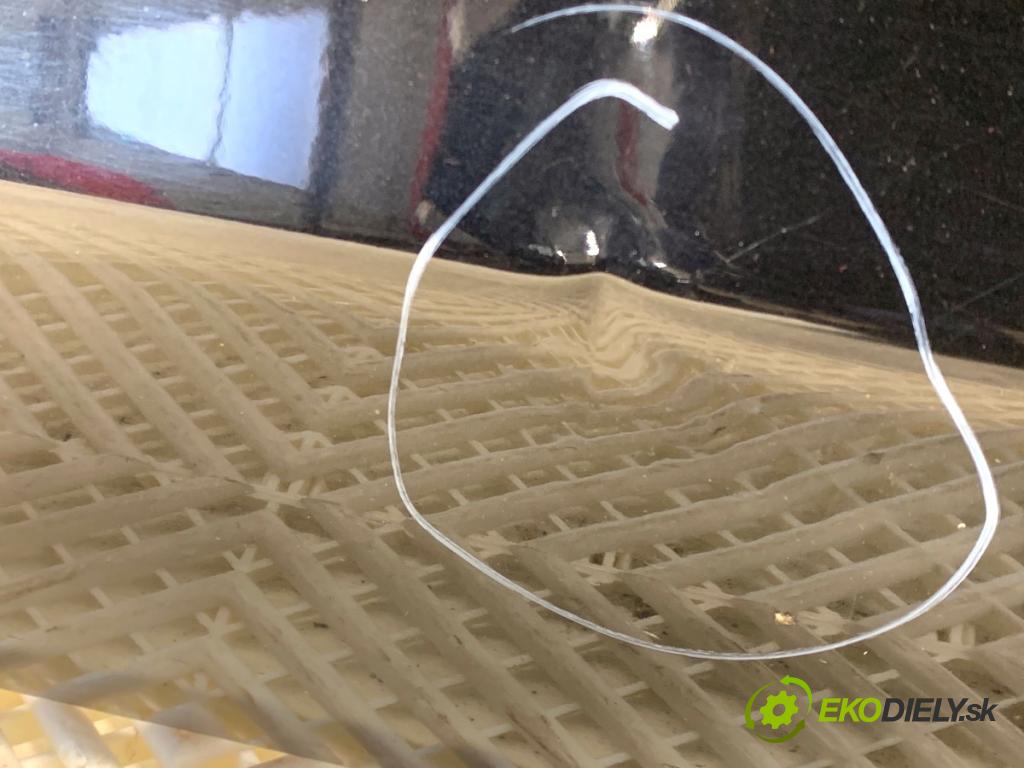 NISSAN JUKE F15 SUV 2017 86 kW 1.6 1598 Dvere pravy predný Z11