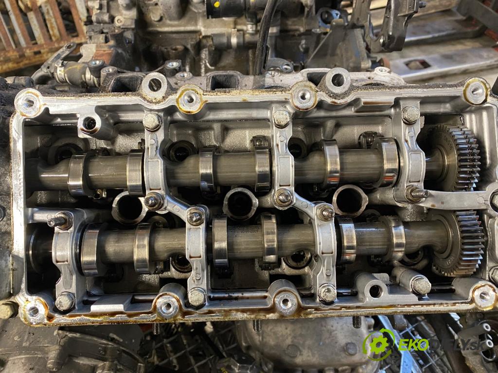 AUDI A5 8T coupe 2008 176 kW 3.0 TDI quattro 2967 Motor CCWA (Motor)