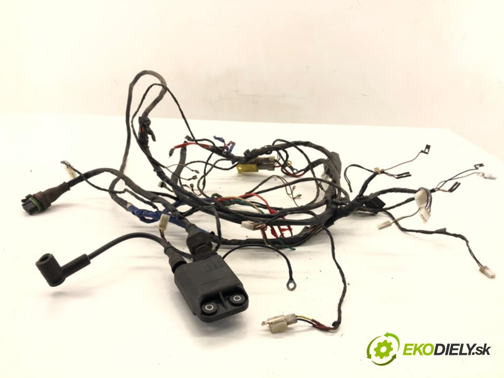 PIAGGIO TYPHOON  2002 4 kW Typhoon 50 49 káblovačka motora cívka 