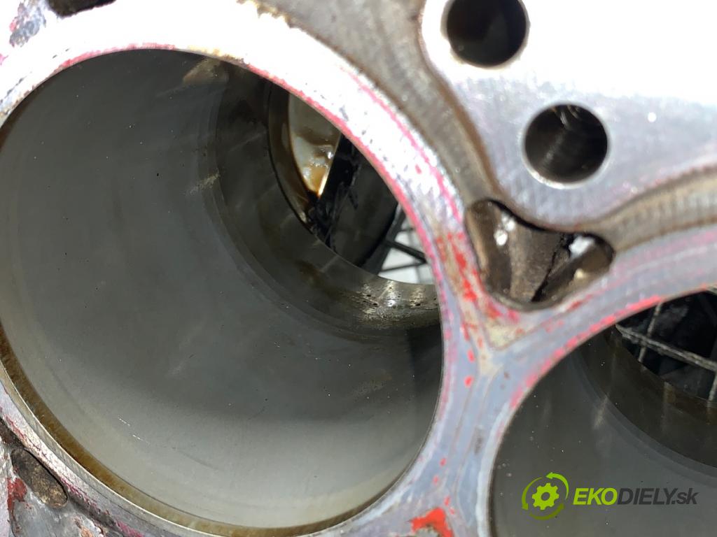 PORSCHE PANAMERA liftback 2010 294 kW 4.8 4S 4806 blok Motor 948101113 (Blok motora)