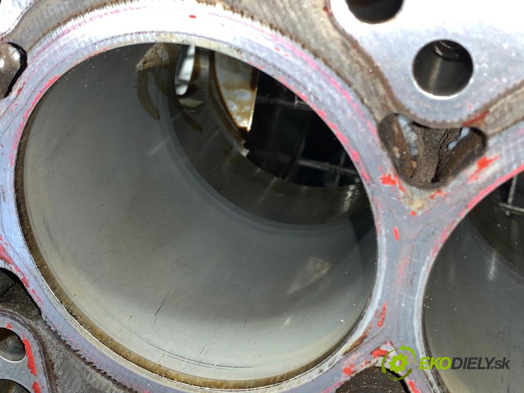 PORSCHE PANAMERA liftback 2010 294 kW 4.8 4S 4806 blok Motor 948101113 (Blok motora)