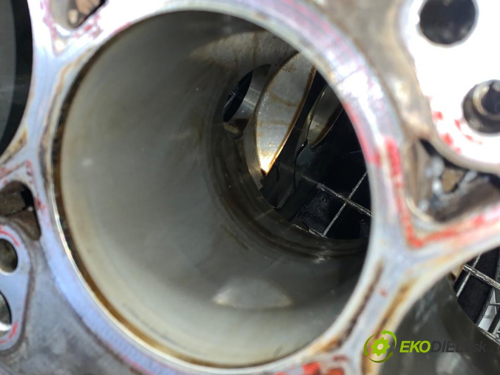 PORSCHE PANAMERA liftback 2010 294 kW 4.8 4S 4806 blok Motor 948101113 (Blok motora)