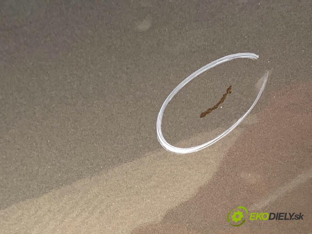 FIAT SEDICI SUV 2012 88 kW 1.6 16V 1586 Dvere pravy predný ZCD