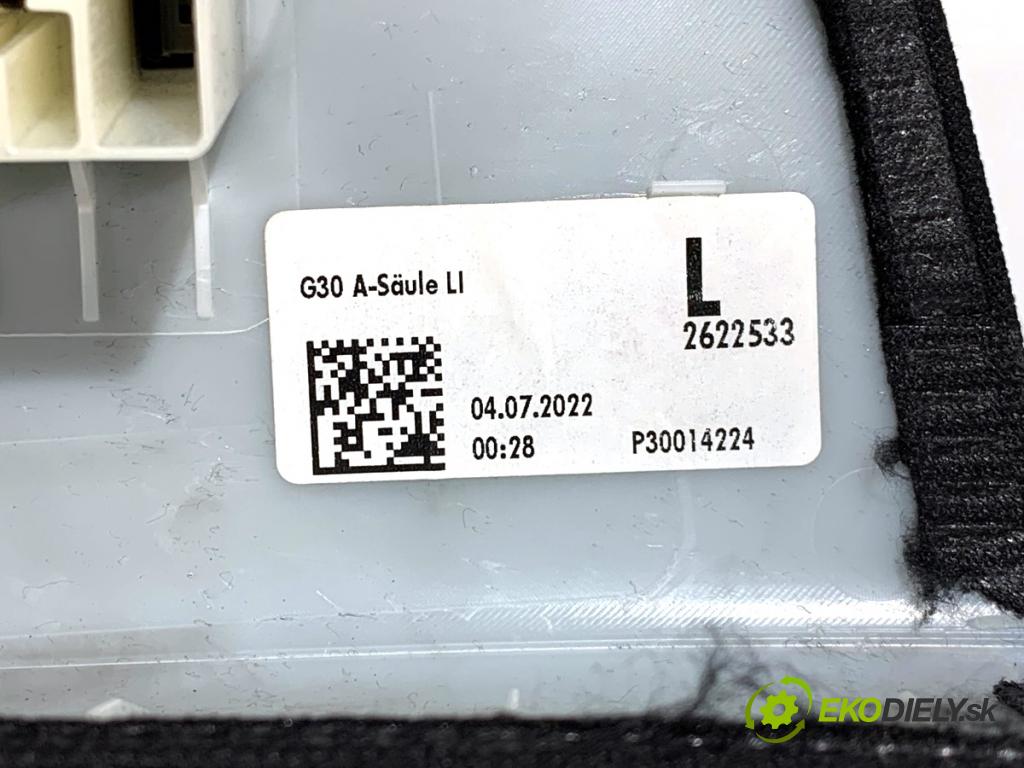 BMW G30 sedan 2022 140 kW 520 d xDrive 1995 Clona stĺpika 7384525