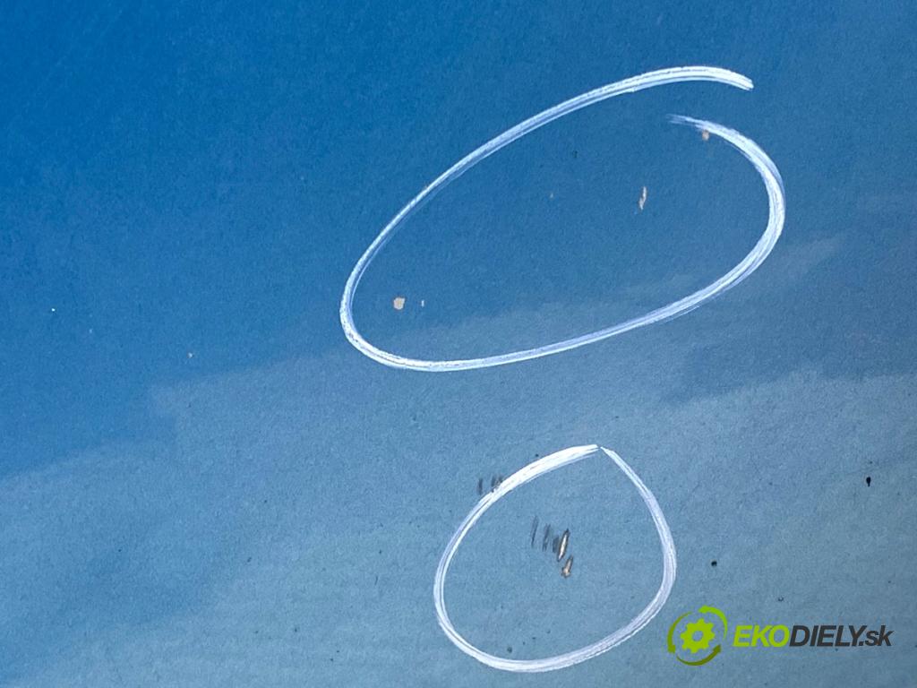 CITROEN C4 PICASSO I nadwozie wielkoprzestrzenne (MPV) 2007 80 kW 1.6 HDi 1560 kapota  (Kapota)