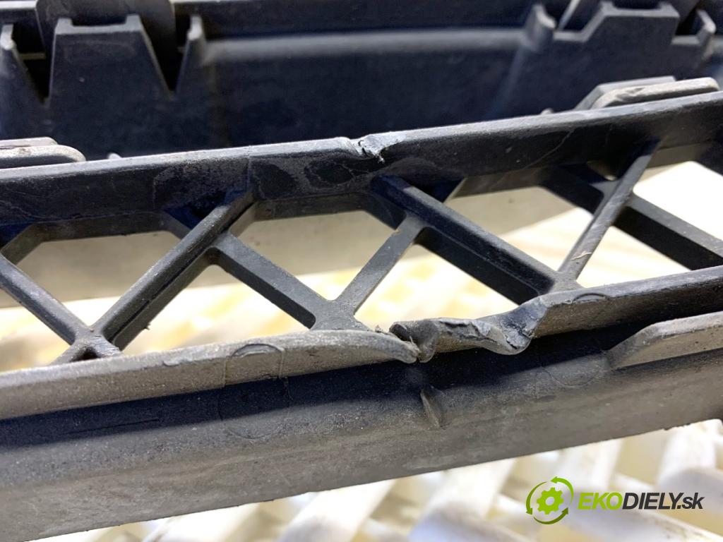 BMW E84 SUV 2013 85 kW sDrive 16 d 1995 Mriežky nárazníka predný  (Mriežka predná (maska chladiča))