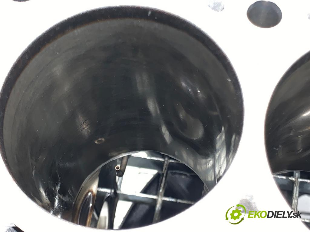 BMW F25 SUV 2013 135 kW xDrive 20 d 1995 JEDNOTKA: motora  (Blok motoru)