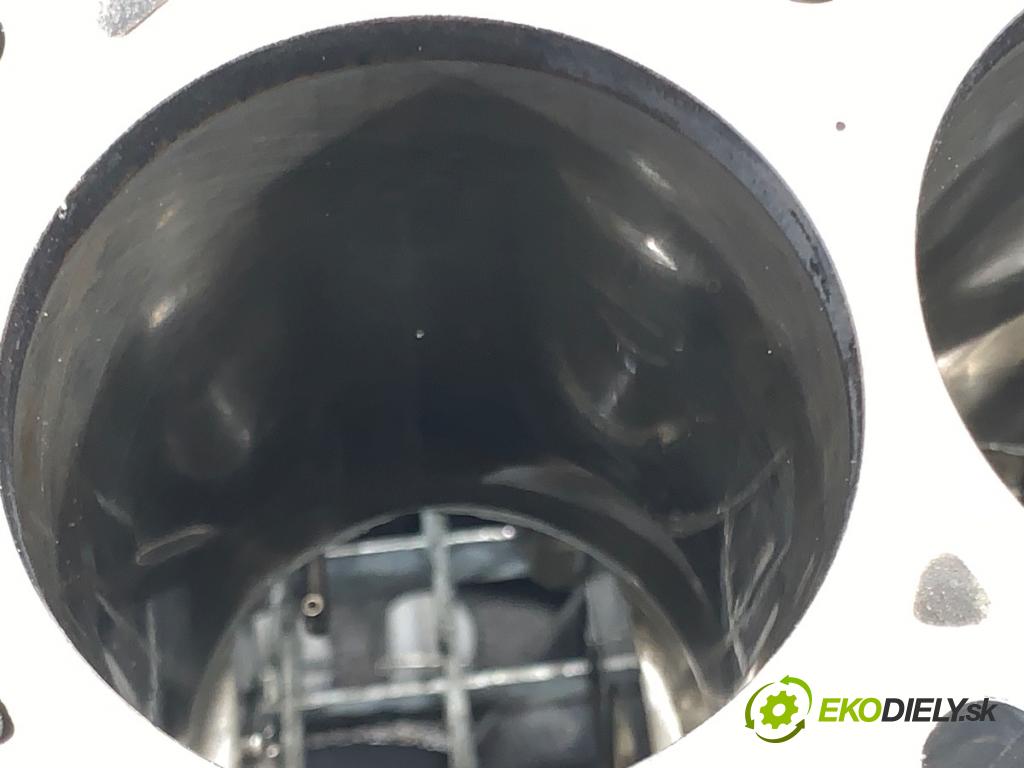 BMW F25 SUV 2013 135 kW xDrive 20 d 1995 JEDNOTKA: motora  (Blok motoru)