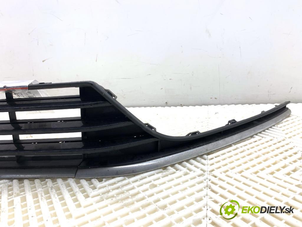 VW PASSAT B7 sedan 2013 103 kW 2.0 TDI 1968 Mriežky nárazníka predný stredna