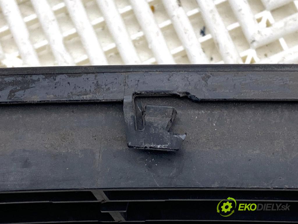 VW PASSAT B7 sedan 2013 103 kW 2.0 TDI 1968 Mriežky nárazníka predný stredna