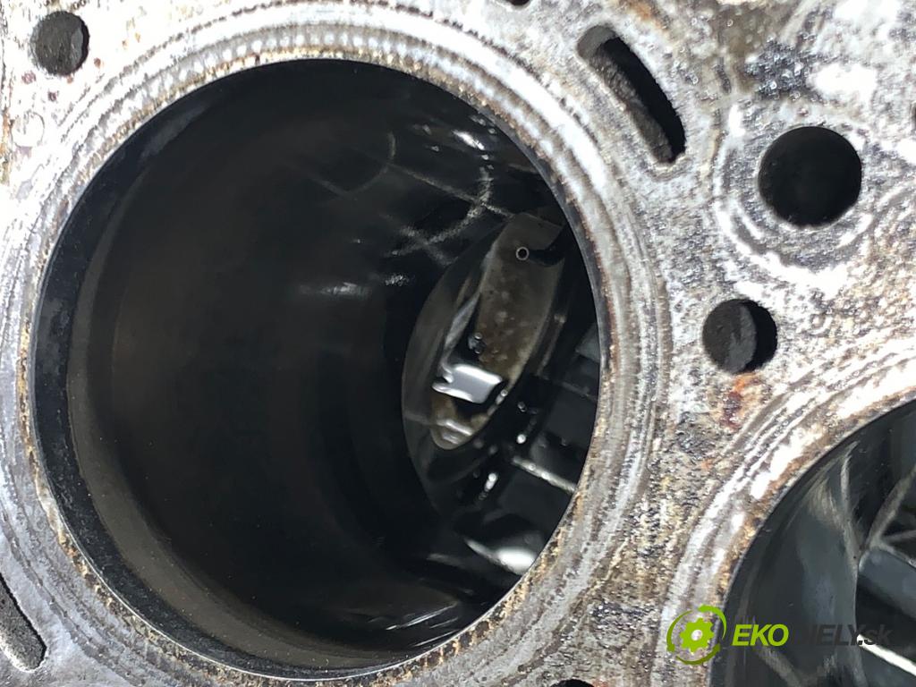 MERCEDES-BENZ W218 Kombi 2016 190 kW CLS 350 d 4-matic (218.994) 2987 blok Motor R6421900 (Blok motora)