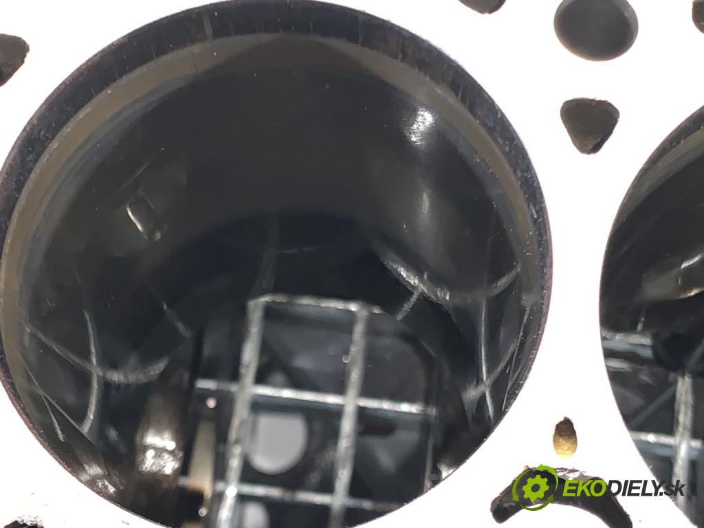 AUDI A5 F5 coupe 2017 140 kW 2.0 TDI 1968 JEDNOTKA: motora 03N023A (Blok motoru)