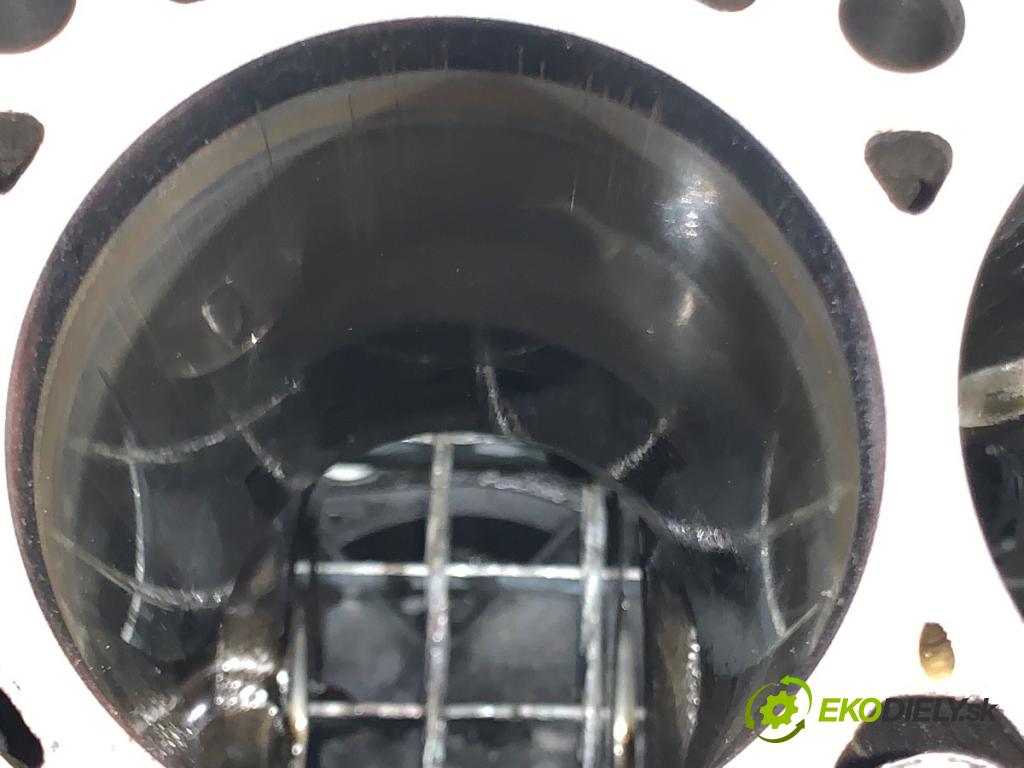 AUDI A5 F5 coupe 2017 140 kW 2.0 TDI 1968 JEDNOTKA: motora 03N023A (Blok motoru)