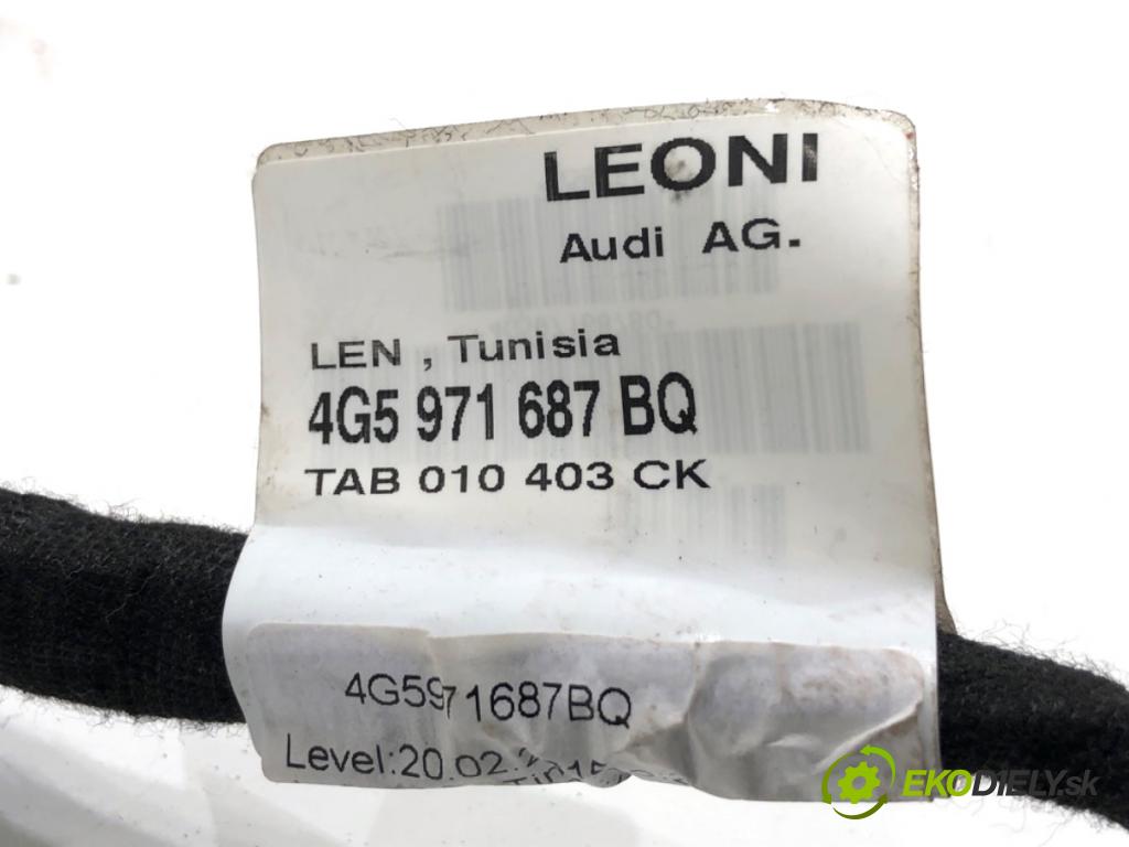 AUDI A6 C7 Kombi 2016 200 kW 3.0 TDI quattro 2967 káblovačka dveře zadní část pravý 4G5971687BQ