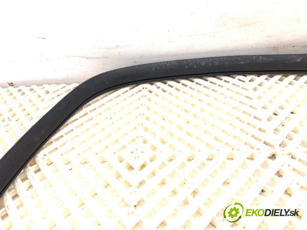 MG (SAIC) HS SUV 2024 124 kW 1.5 20 T 1490 těsnění dveře přední část levá strana