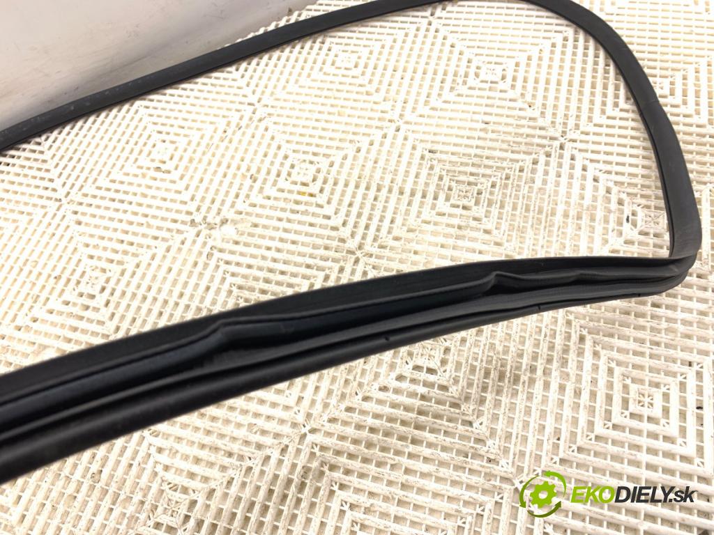 MG (SAIC) HS SUV 2024 124 kW 1.5 20 T 1490 těsnění dveře přední část levá strana