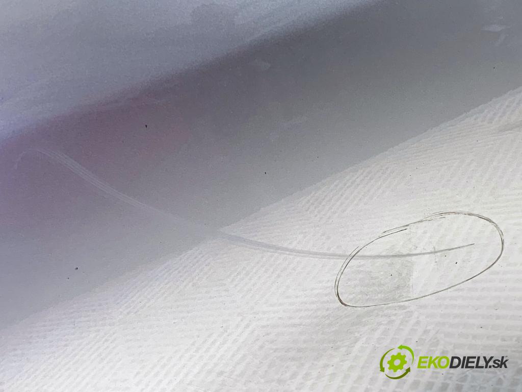 RENAULT MEGANE III liftback 2015 70 kW 1.5 dCi (BZ1G, BZ1W, BZ0R) 1461 dveře pravý přední část TED69