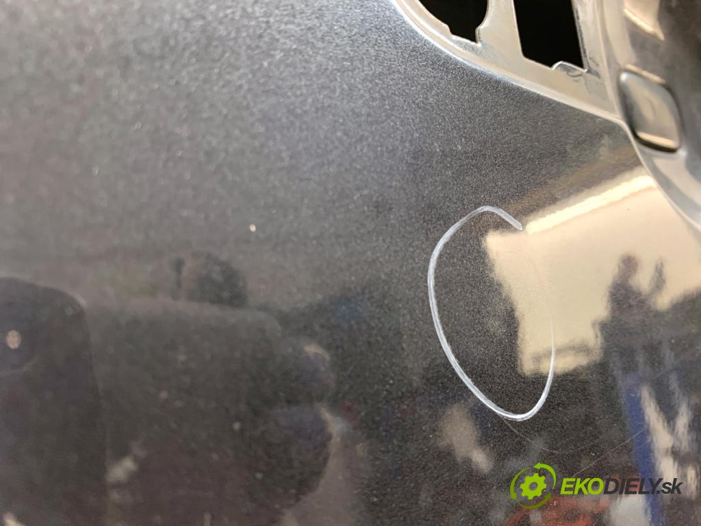 RENAULT GRAND SCENIC III nadwozie wielkoprzestrzenne (MPV) 2010 96 kW 1.4 16V (JZ0F) 1397 Dvere pravy zad TEB66