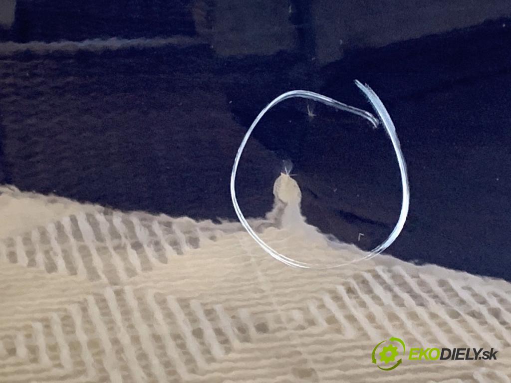 RENAULT MEGANE III liftback 2009 74 kW 1.6 16V (BZ0H) 1598 dveře levý zadní část NV472