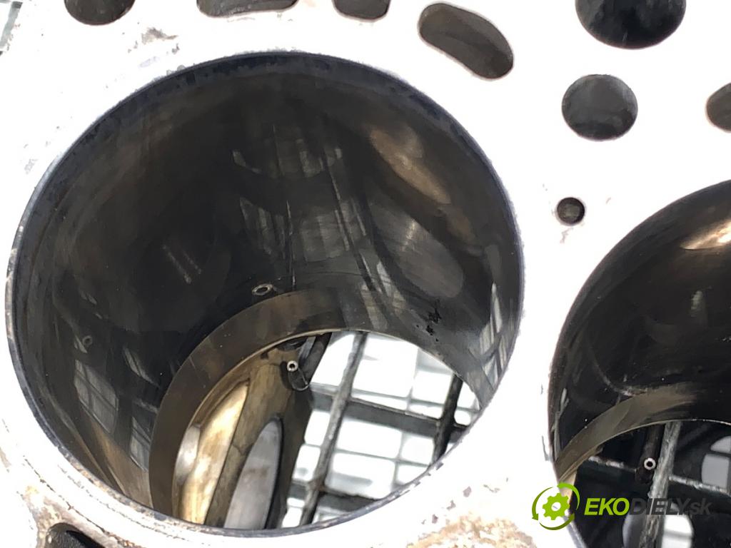 BMW E60 sedan 2007 173 kW 530 d 2993 JEDNOTKA: motora 7792822 (Blok motoru)